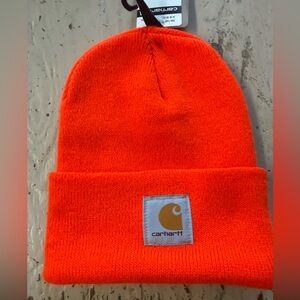 Carhartt Classic Adult Knit Cap